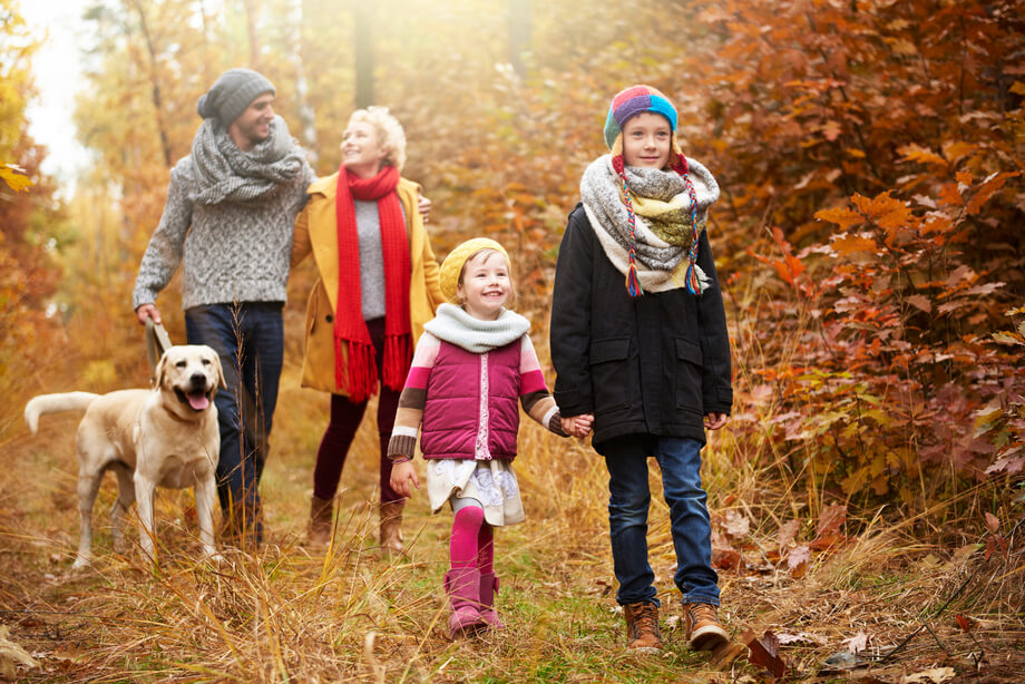 imagen de una familia paseando por el bosque