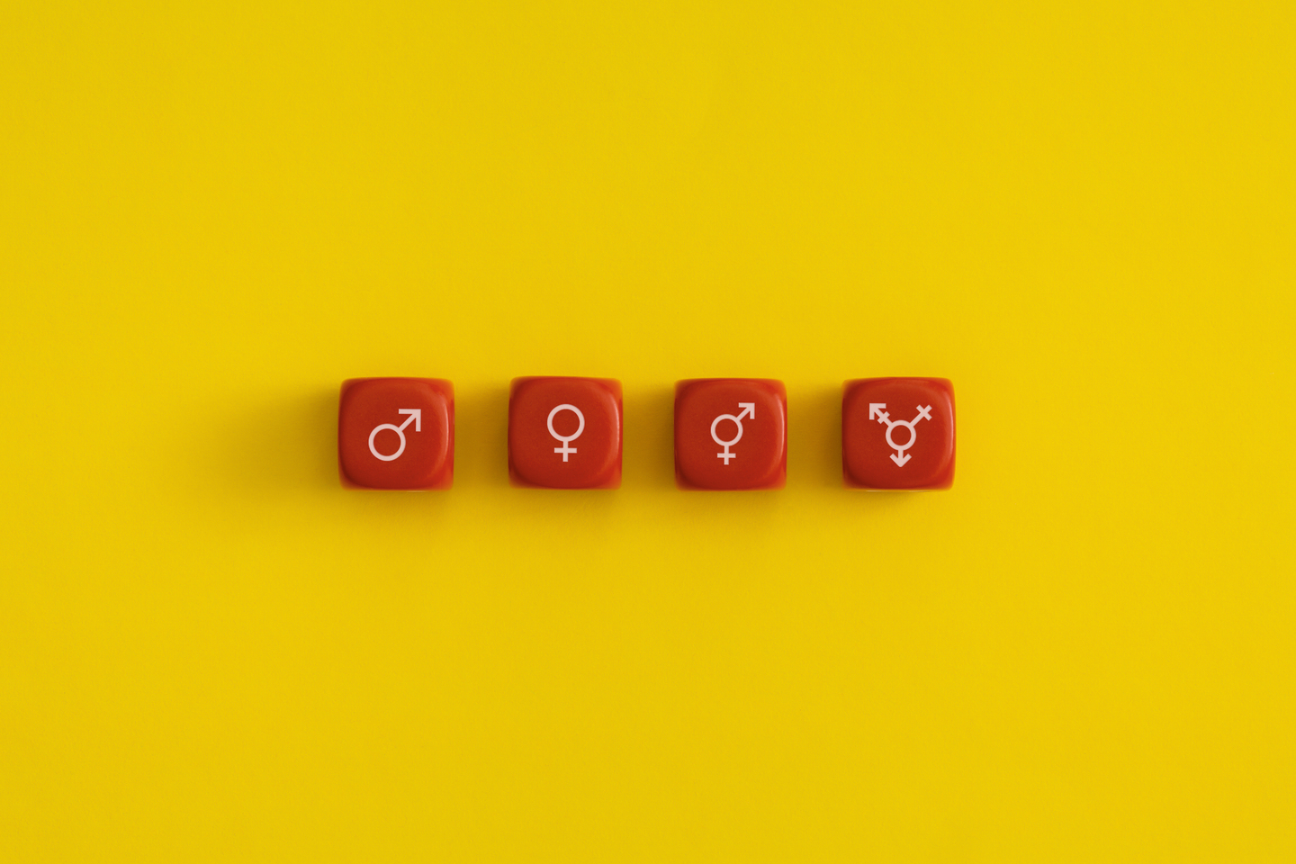 imagen de dados con los símbolos de las diferentes identidades de género